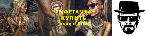 индика Лабытнанги