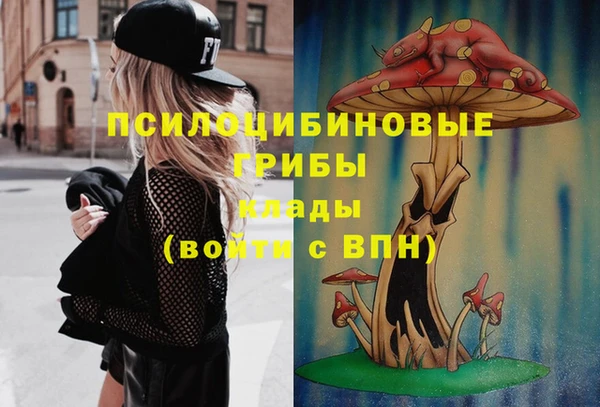 гашик Кукмор