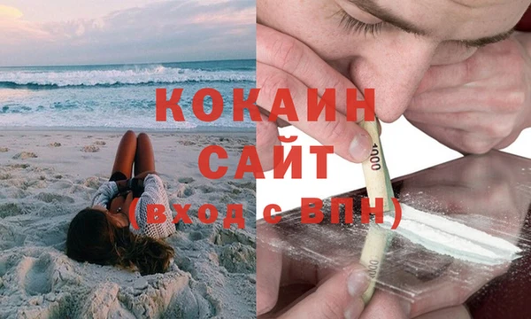 индика Лабытнанги