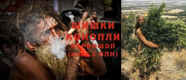 индика Лабытнанги