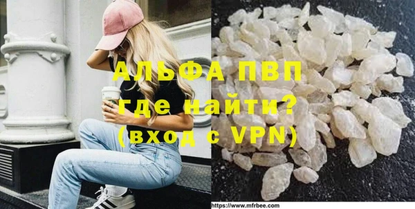 индика Лабытнанги