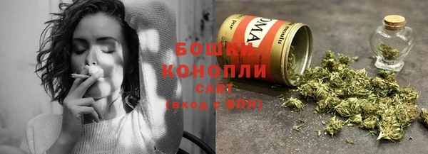 индика Лабытнанги